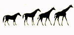 Жираф – это лошадь, сделанная с учетом всех требований заказчика